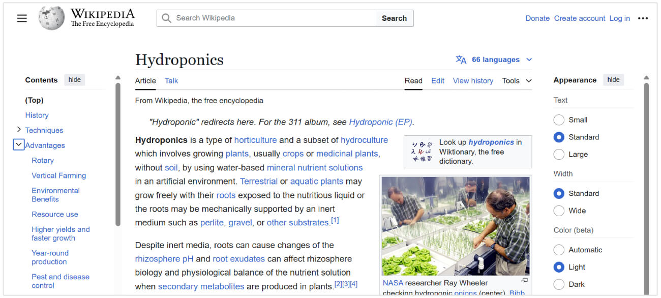 Pagina Wikipedia idroponica