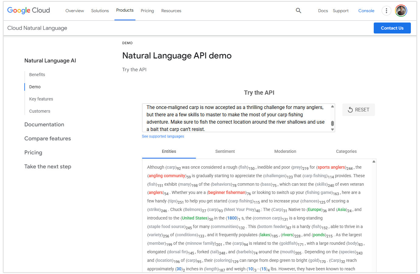 Risultato Google NLP